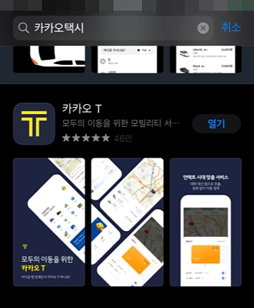카카오택시 예약 (2)
